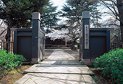 根本中堂