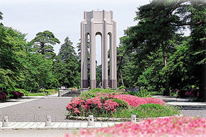 都立多磨霊園