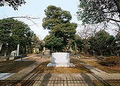 徳川十五代将軍慶喜公 墓所