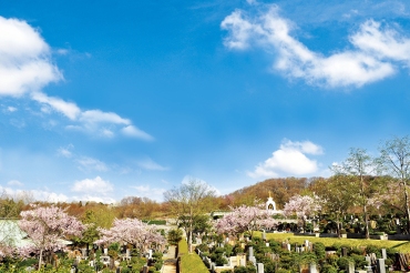 園内風景