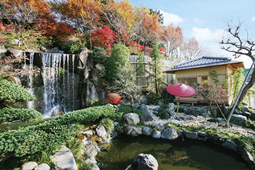 日本庭園を望む茶室