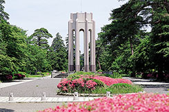 都立多磨霊園
