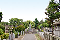 都立谷中霊園
